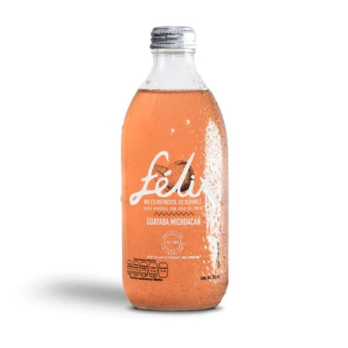 BEBIDA FELIX SCHORLE GUAYABA 355 ML