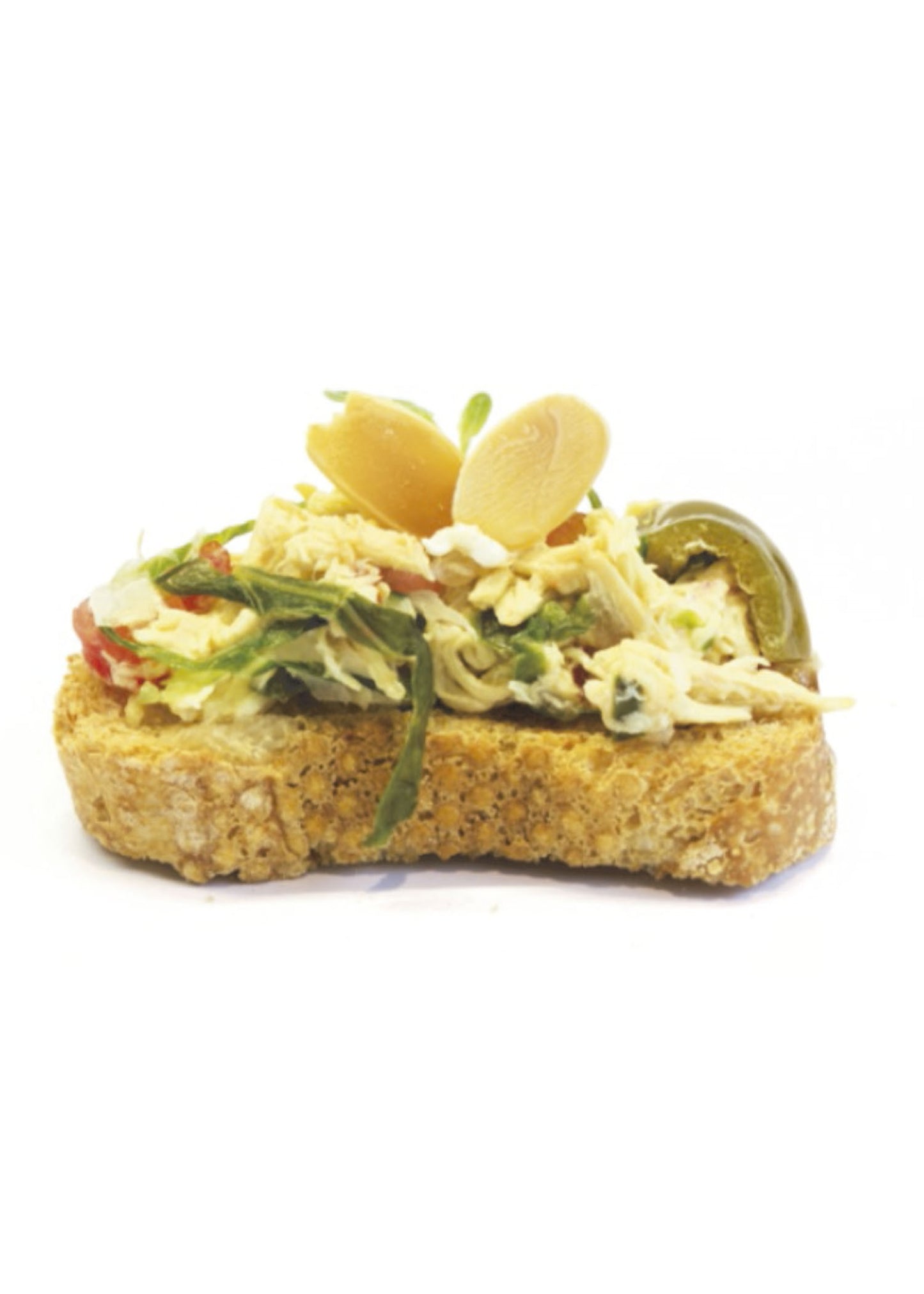 TAPA DE SALPICÓN