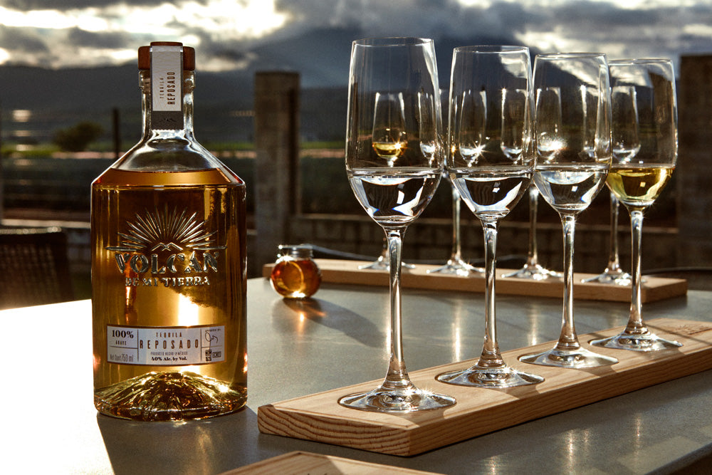 TEQUILA VOLCAN MI TIERRA AÑEJO CRISTAL 750 ML