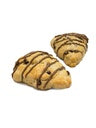 SCONE PLUS PZ
