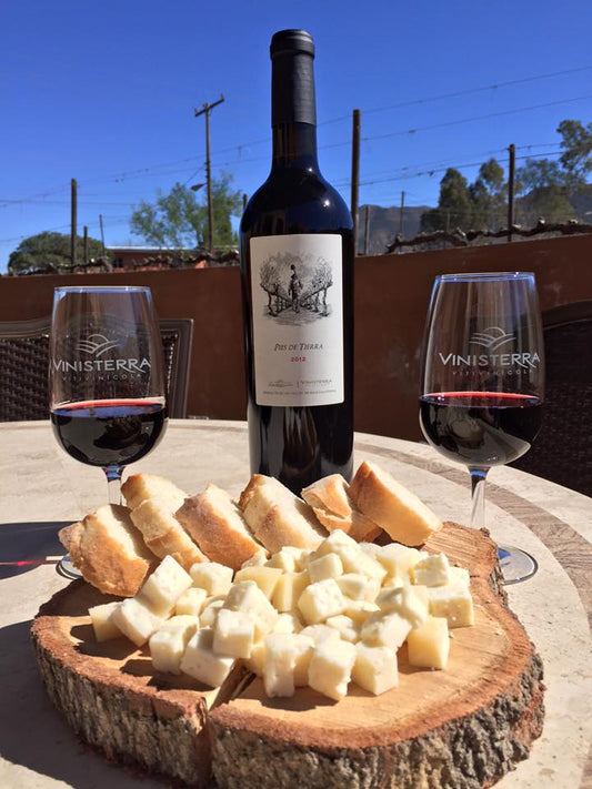 VT PIES DE TIERRA 750 ML