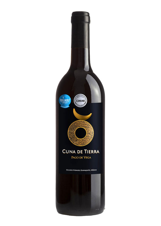 VT PAGO DE VEGA 750 ML
