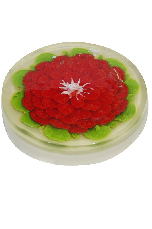 GELATINA ARTISTICA FAMILIAR PZ