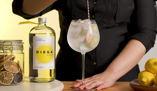 GINEBRA DIEGA 950 ML