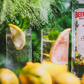 GINEBRA BEEFEATER BOTANICS LEMON & GINGER 700 ML