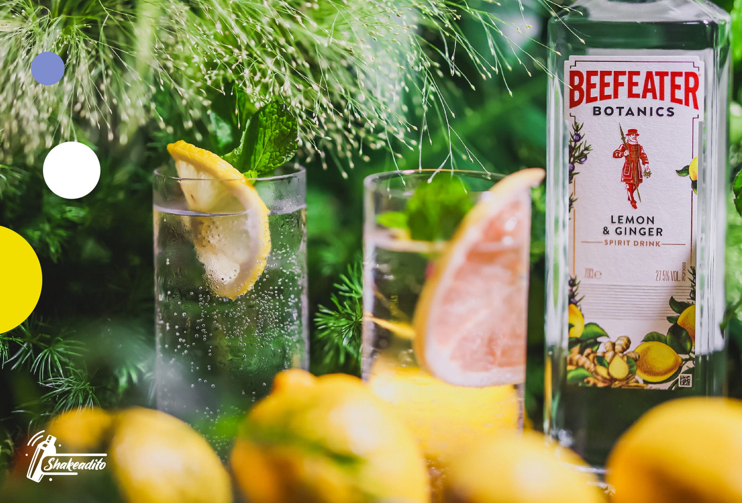 GINEBRA BEEFEATER BOTANICS LEMON & GINGER 700 ML