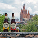 CERVEZA ALLENDE BROWN ALE 355 ML