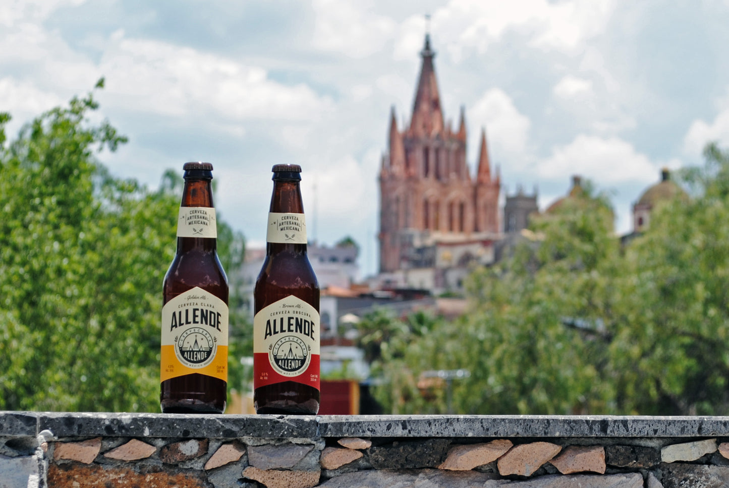 CERVEZA ALLENDE BROWN ALE 355 ML