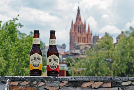 CERVEZA ALLENDE BROWN ALE 355 ML