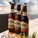 CERVEZA ALLENDE IPA 355 ML