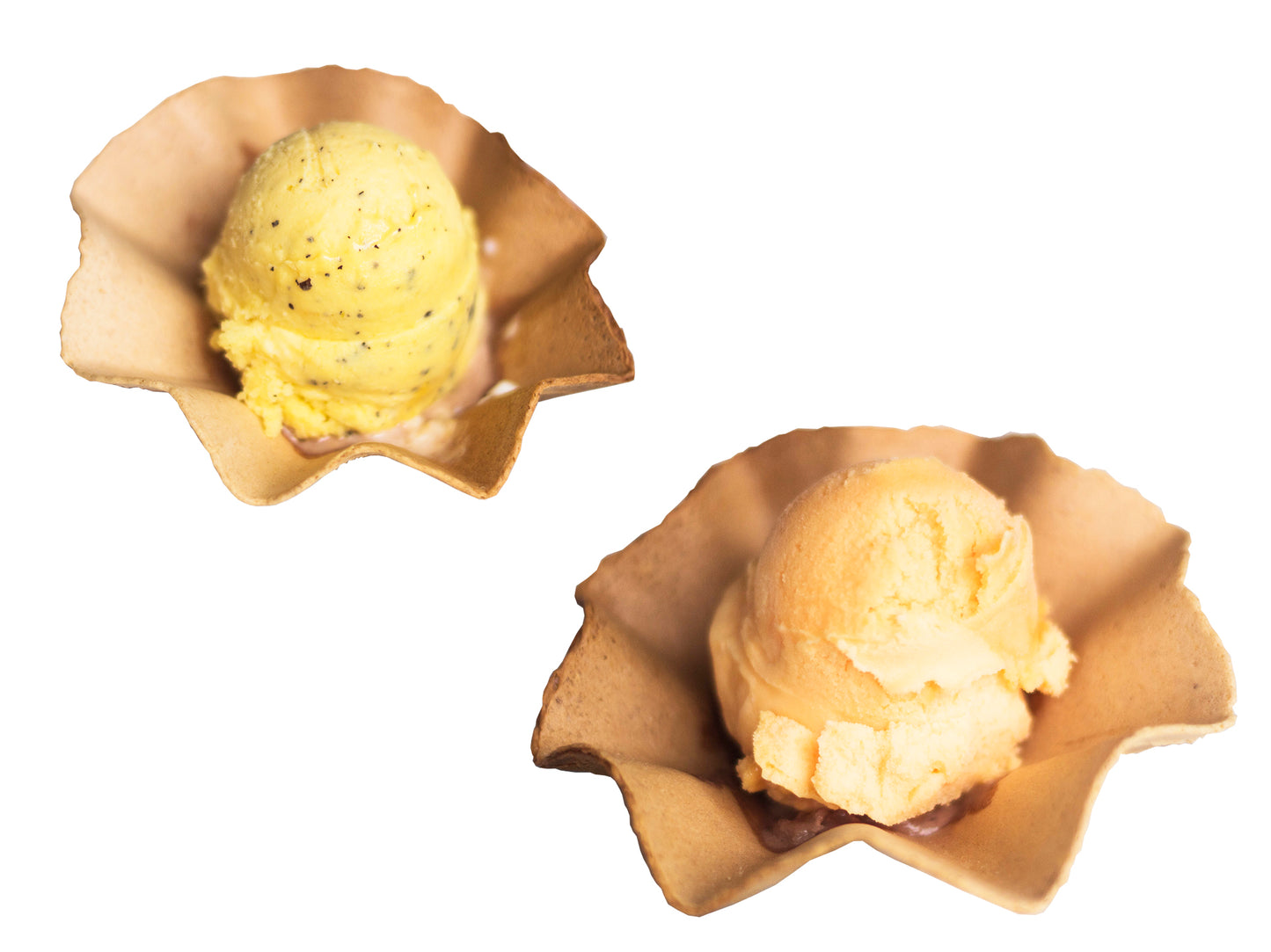 HELADO SHOKOLATE SABORES 500 ML
